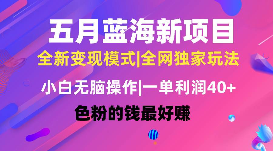 五月蓝海项目全新玩法，小白无脑操作，一天几分钟，矩阵操作，月入4万+-源创智汇网