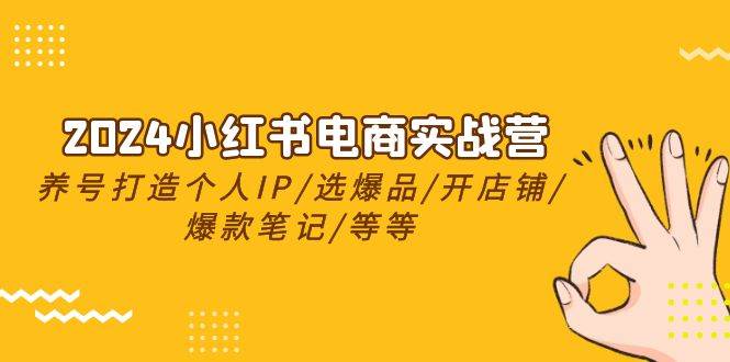 2024小红书电商实战营，养号打造IP/选爆品/开店铺/爆款笔记/等等（24节）-源创智汇网