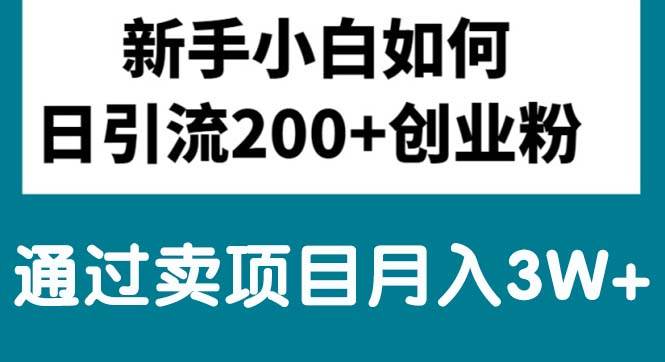 新手小白日引流200+创业粉,通过卖项目月入3W+-源创智汇网