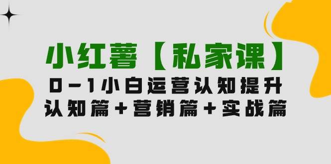 小红薯【私家课】0-1玩赚小红书内容营销，认知篇+营销篇+实战篇（11节课）-源创智汇网