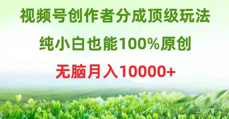 视频号创作者分成顶级玩法，纯小白也能100%原创，无脑月入10000+-源创智汇网