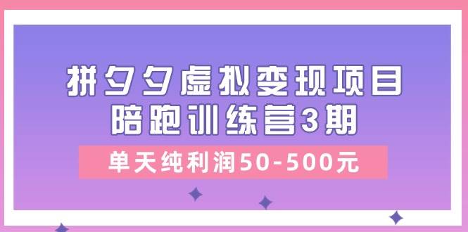 某收费培训《拼夕夕虚拟变现项目陪跑训练营3期》单天纯利润50-500元-源创智汇网