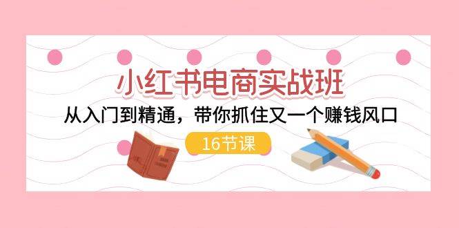 小红书电商实战班，从入门到精通，带你抓住又一个赚钱风口（16节）-源创智汇网