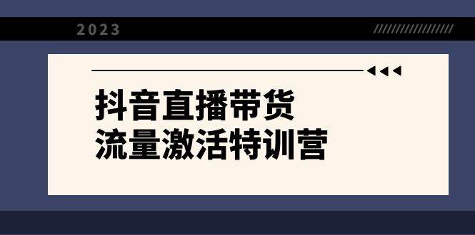 抖音直播带货-流量激活特训营，入行新手小白主播必学（21节课+资料）-源创智汇网