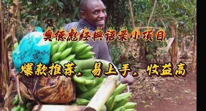 奥德彪经典语录小项目，爆款推荐，易上手，收益高-源创智汇网