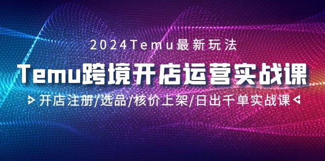 2024Temu跨境开店运营实战课，开店注册/选品/核价上架/日出千单实战课-源创智汇网