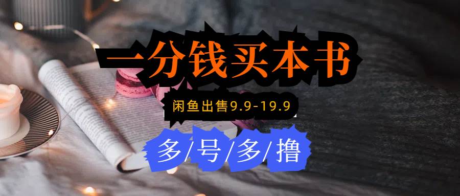 每天花1分钱买一本书，闲鱼出售9.9-19.9不等，多账号多撸 新手小白均可操作-源创智汇网