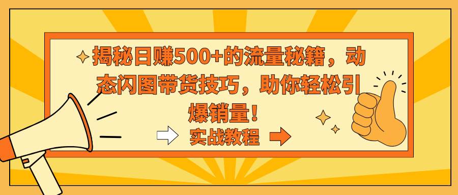 揭秘日赚500+的流量秘籍，动态闪图带货技巧，助你轻松引爆销量！-源创智汇网