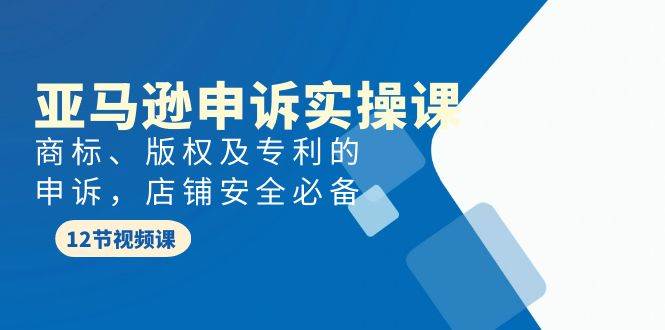 亚马逊-申诉实战课，商标、版权及专利的申诉，店铺安全必备-源创智汇网