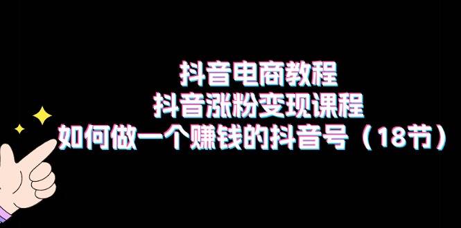 抖音电商教程：抖音涨粉变现课程：如何做一个赚钱的抖音号（18节）-源创智汇网