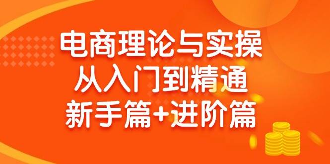 电商理论与实操从入门到精通 新手篇+进阶篇-源创智汇网