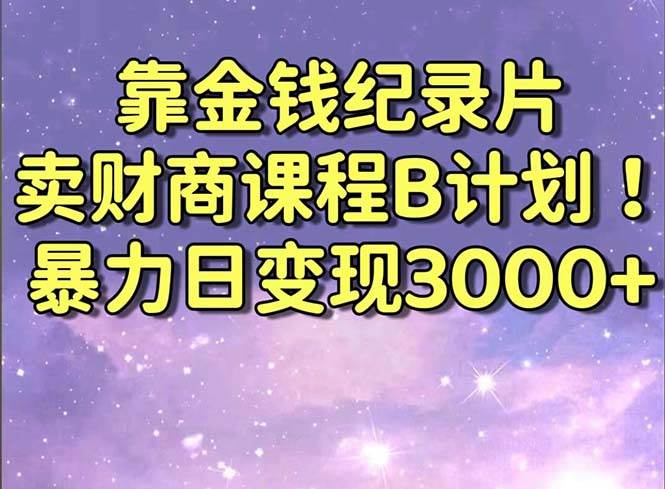 靠金钱纪录片卖财商课程B计划！暴力日变现3000+，喂饭式干货教程！-源创智汇网