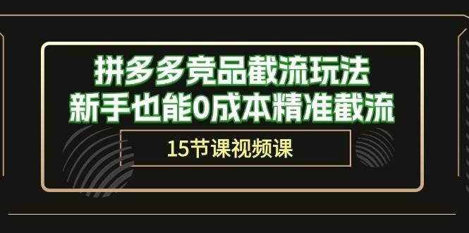 拼多多竞品截流玩法，新手也能0成本精准截流（15节课）-源创智汇网