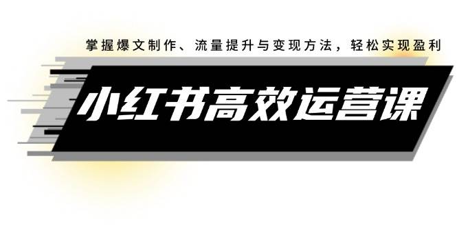 小红书高效运营课：掌握爆文制作、流量提升与变现方法，轻松实现盈利-源创智汇网