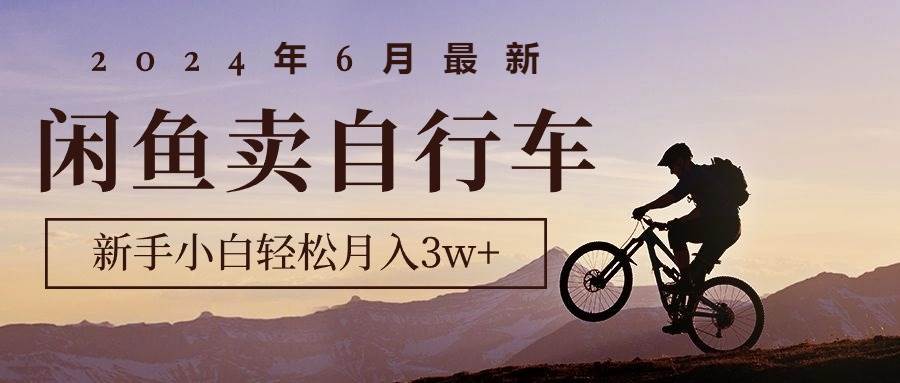 2024年6月最新闲鱼卖自行车，新手小白轻松月入3w+项目-源创智汇网