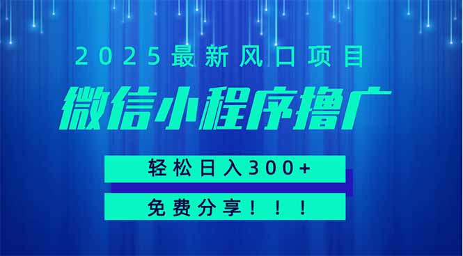 微信小程序撸广，最新风口项目，日入300+ 免费分享 可批量操作 小白可…-源创智汇网