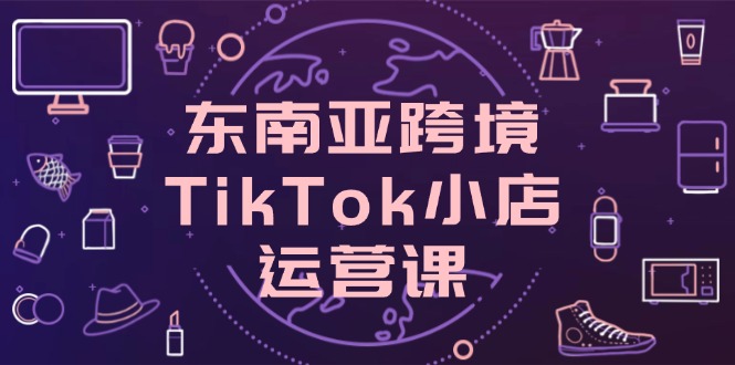 东南亚跨境TikTok小店运营课，掌握店铺设置与流量转化核心技巧-源创智汇网