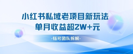 小红书私域项目新玩法，单月变现过W+-源创智汇网