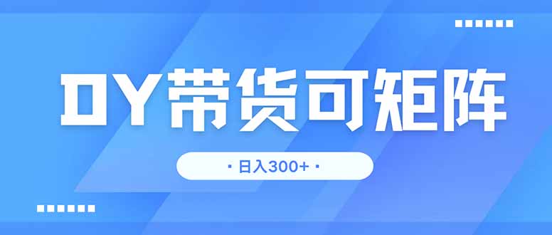 DY带货，日入300＋矩阵无上限-源创智汇网