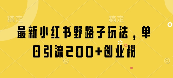 最新小红书野路子玩法，单日引流200+创业粉-源创智汇网