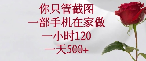 你只管截图，一部手机在家做，苹果安卓都可以，一小时120，一天5张+【揭秘】-源创智汇网