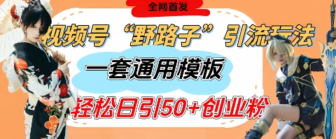 视频号“野路子”玩法，评论区疯狂截流，一套模板单日单号引流50+创业粉-源创智汇网