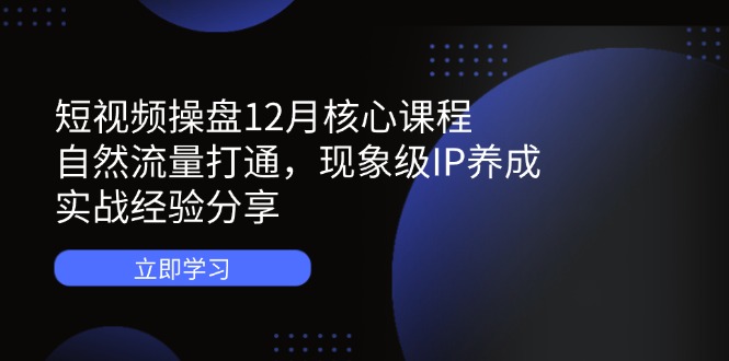 短视频操盘12月核心课程：自然流量打通，现象级IP养成，实战经验分享-源创智汇网