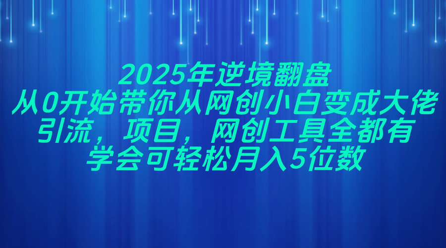 2025年逆境翻盘，从0开始带你从网创小白变成大佬，引流，项目，网创工…-源创智汇网