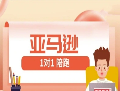亚马逊1对1陪跑课(FBA/FBM精铺)跨境亚马逊教程-源创智汇网