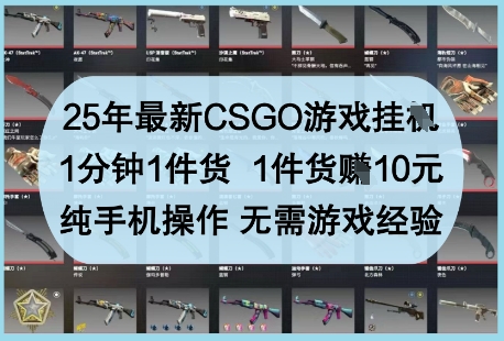 25年最新CSGO游戏挂G，1分钟1件货，1件货挣10元，纯手机操作，无需游戏经验【揭秘】-源创智汇网