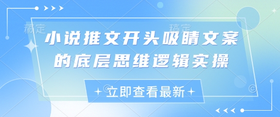 小说推文开头吸睛文案的底层思维逻辑实操-源创智汇网
