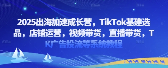 2025出海加速成长营，TikTok基建选品，店铺运营，视频带货，直播带货，TK广告投流等系统教程-源创智汇网