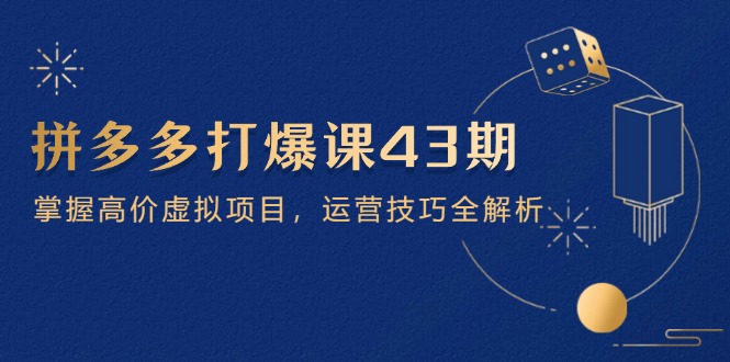 拼多多打爆课第 43 期，掌握高价虚拟项目，运营技巧全解析(15节-源创智汇网