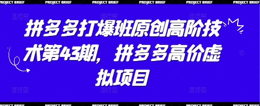 拼多多打爆班原创高阶技术第43期，拼多多高价虚拟项目-源创智汇网