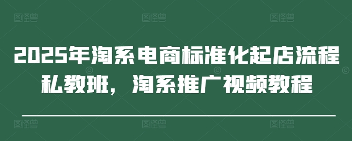 2025年淘系电商标准化起店流程私教班，淘系推广视频教程-源创智汇网