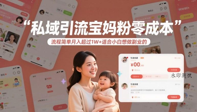 私域引流宝妈粉零成本流程简单月入超过1W+适合小白想做副业的-空间云网创