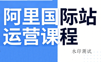 张国儒·阿里国际站运营课程(更新2026)-空间云网创