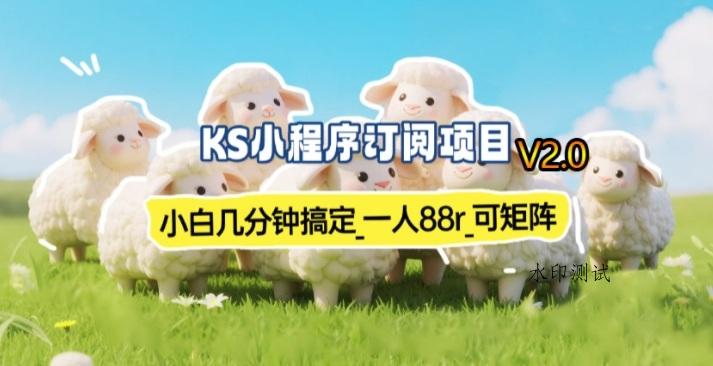 【新一期】小程序订阅_小白几分钟70-80r，可矩阵(已测到账)-空间云网创