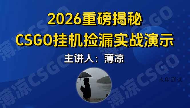 CSGO游戏挂机游戏搬砖最新升级，普通小白一部手机可日入300+当天见结果，支持验证-空间云网创