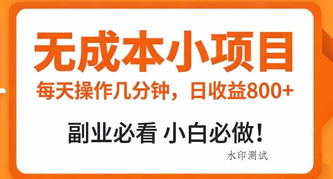 无成本小项目 每天操作几分钟，真实日收益800+ 副业必看 小白必做！-空间云网创
