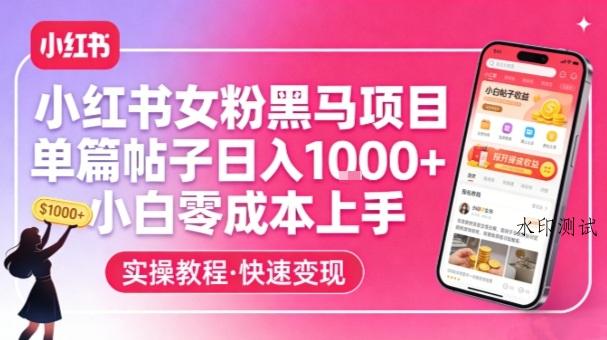 小红书女粉黑马项目，单篇帖子日入1k+，小白零成本上手-空间云网创