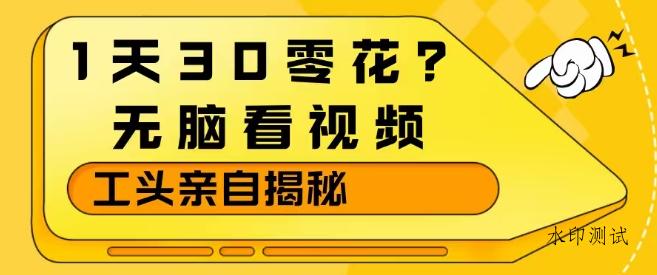 1天30零花？无脑看视频，大佬亲自揭秘-空间云网创