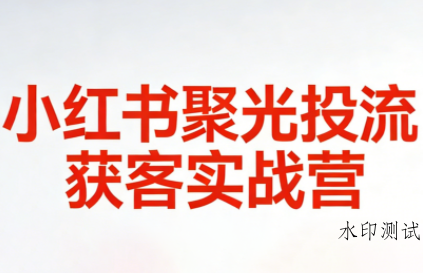 永曜·小红书聚光投流获客实战营-空间云网创