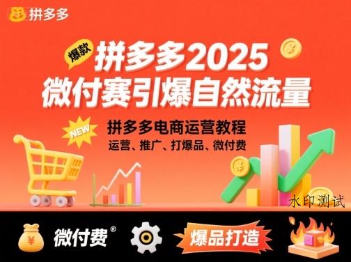 拼多多微付费引爆自然流量,拼多多电商运营教程,运营、推广、打爆品、微付费(更新26年2月)-空间云网创