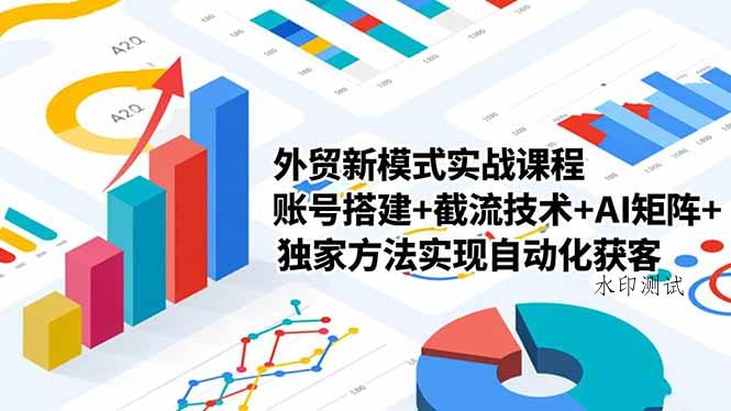 外贸新模式实战课程-更新2月，账号搭建+截流技术+AI矩阵+独家方法实现自动化获客-空间云网创