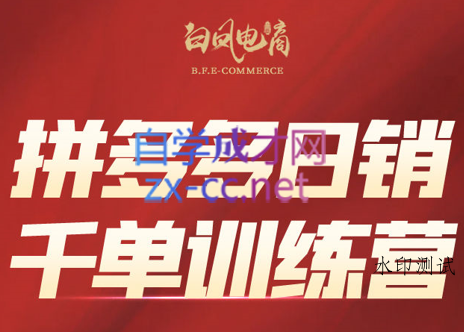 白凤电商·拼多多日销千单训练营(更新2月)-空间云网创