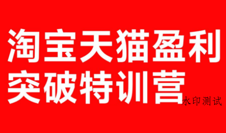 玺承·淘宝天猫盈利突破特训营(25年12月线下课)【音频+字幕】-空间云网创