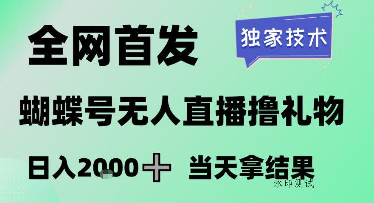 2026最新蝴蝶号无人直播掘金，独家技术，全网首发小白做了一个月收益3W，长期稳定可做【揭秘】-空间云网创